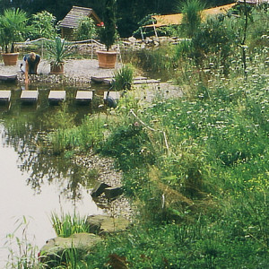 Wasser im Garten